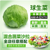 一颗球生菜的新鲜旅程，从田间直达舌尖