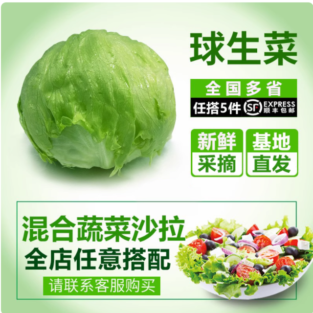 一颗球生菜的新鲜旅程，从田间直达舌尖