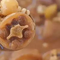 这菜是秋季一宝，20块钱1根！多给家里男人做，焖一焖特香！