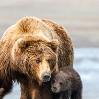 我好希望有这个目的地！