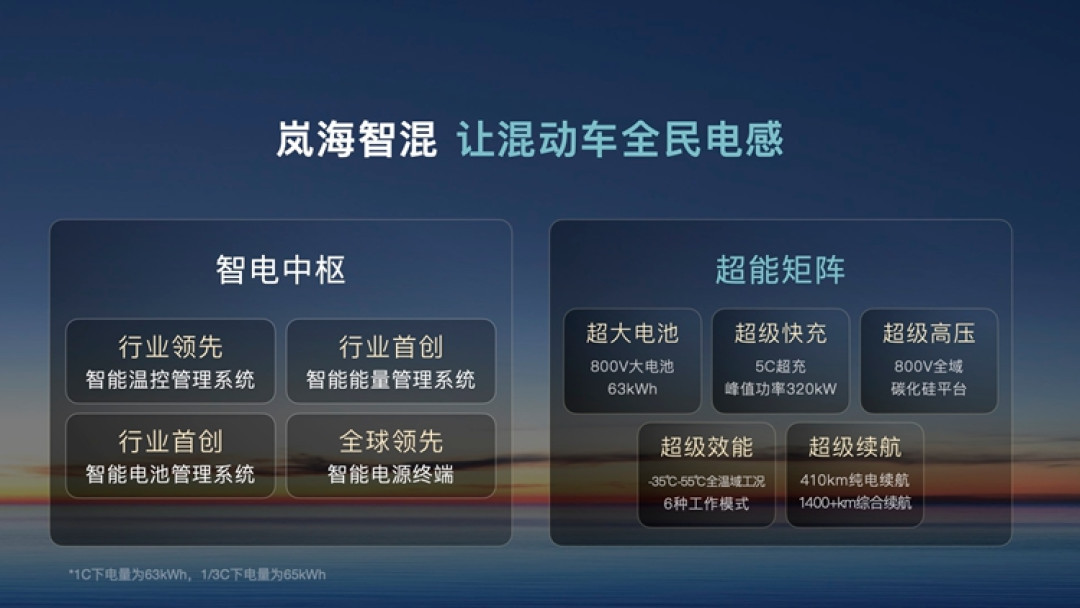 岚海智混.jpg
