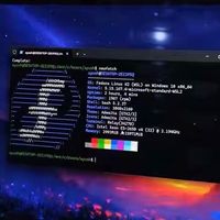 别再装双系统！WSL让Windows 11变万能，Linux应用直装