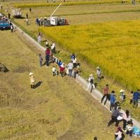 上海这7个免费玩水公园被严重低估，简直是遛娃谈恋爱的绝佳去处