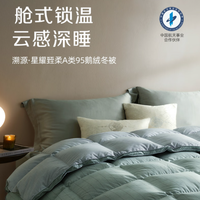 冬日里的云端拥抱：罗莱95%鹅绒被