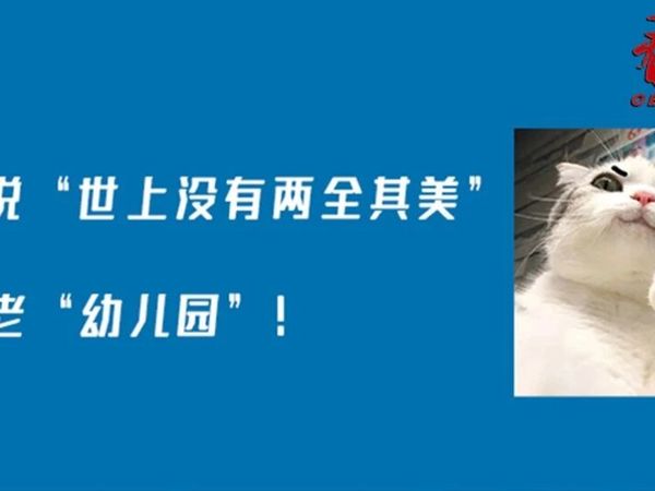 这个假期，送老人去上“养老幼儿园”，火了！🥳