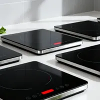 电磁炉哪个牌子好？十大公认品牌排行榜帮你告别厨房灾难！