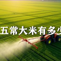 市面上的五常大米有多少是真的？