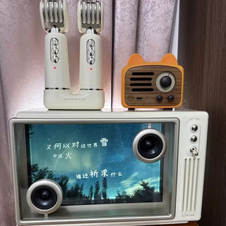 猫王灵感小岛音箱：家庭KTV与氛围神器