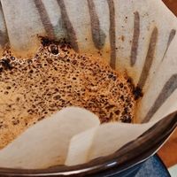 新手小白入坑手磨咖啡，双11这些咖啡豆闭眼入