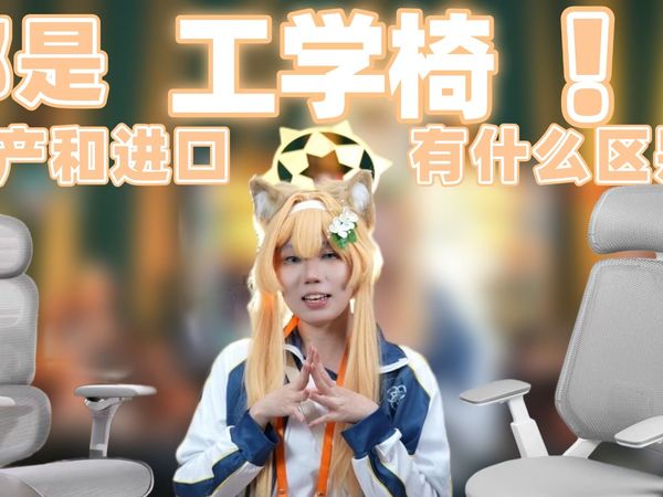 「劝你考虑」这把工学椅居然免费送？达宝利S30 Pro/冈村abilis横评 「次元搞机所」
