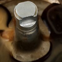 摩卡壶里的“黑森林”奇旅，6元钱咖啡豆带来的惊喜