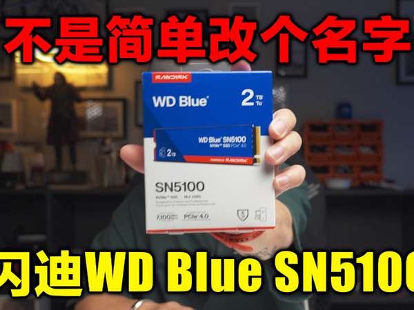 大厂出品，稳字当头，闪迪W Blue SN5100