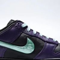 Nike DUNK LOW RETRO LTD HWN 综合评价