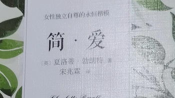 《简爱》中的内心力量与选择