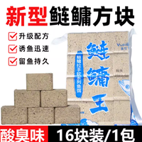 🔥野钓巨物必看！柒愿方块饵让我彻底告别空军，连竿爆护太爽了