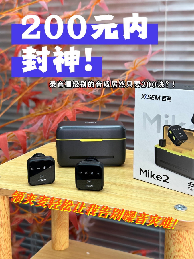 专业音频