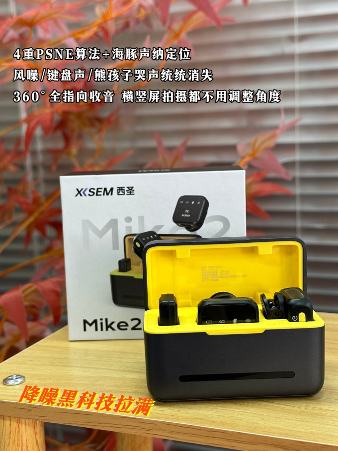 专业音频