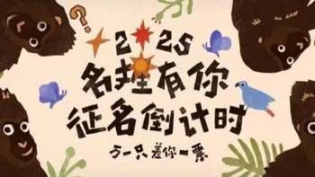 南京红山动物园给猩猩取名字投票，“野菜F4”遥遥领先：香椿头、马兰头、小蒜头、枸杞头