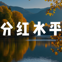 中信保诚2025年最新红利实现率解析
