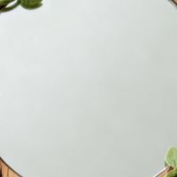 什么是美妆镜？美妆镜和普通镜子区别，这几点差异让你爱不释手！