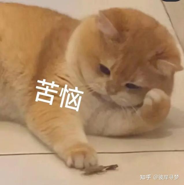 有哪些适合职场人士的手表值得推荐？