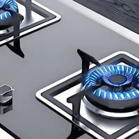 燃气灶全方位选购指南：从知识入门到口碑甄选