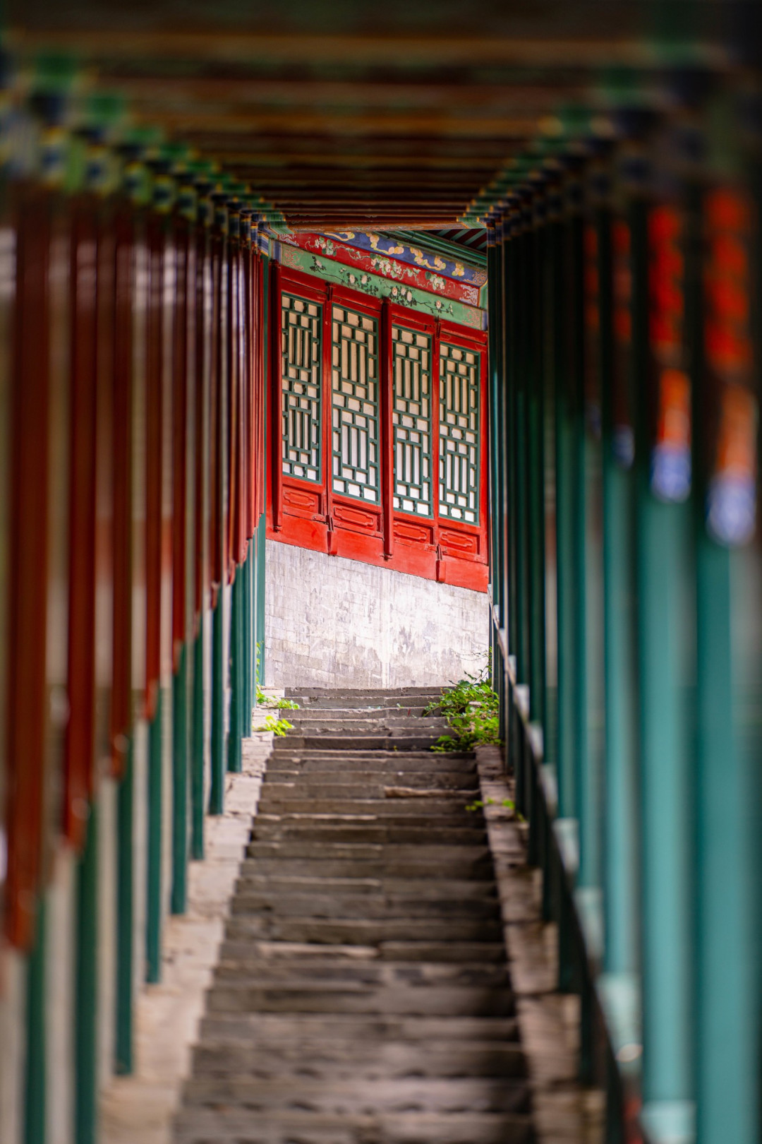 老蛙首款大光圈定焦自动对焦镜头 老蛙AF FF 200mm F2.0 C-Dreamer镜头评测