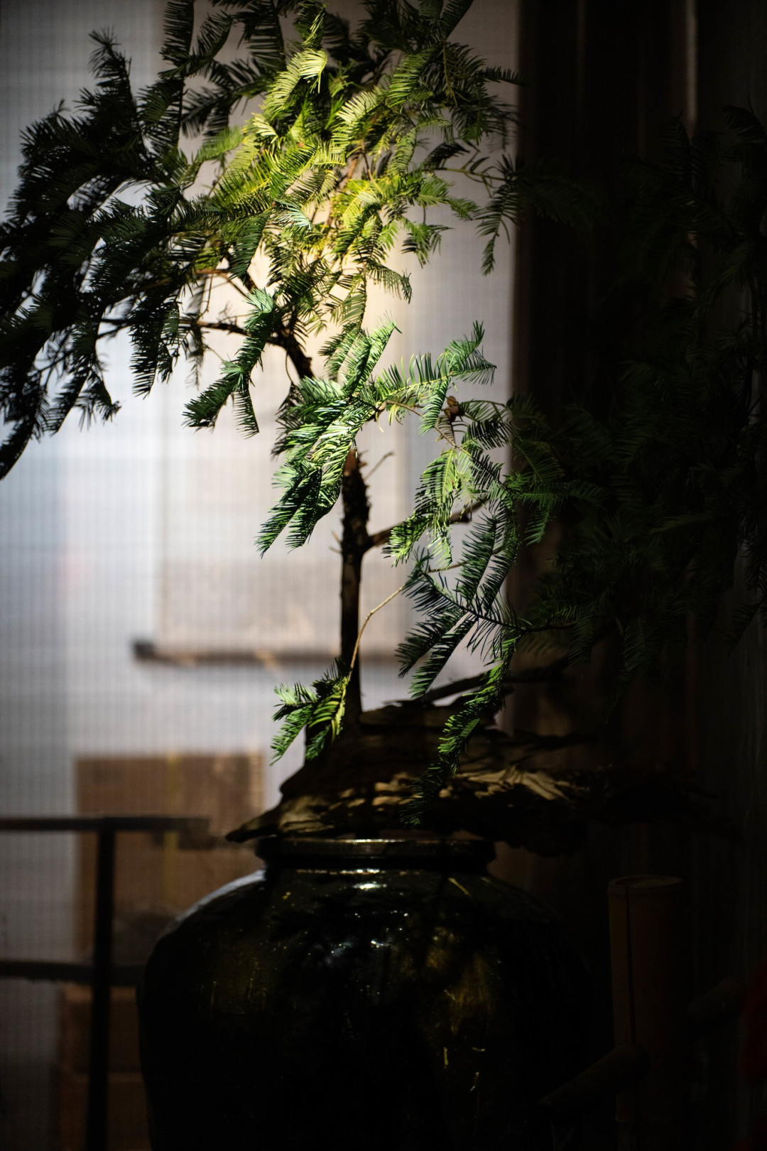 老蛙首款大光圈定焦自动对焦镜头 老蛙AF FF 200mm F2.0 C-Dreamer镜头评测