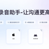 解决耗时：2025年5款会议记录录音转文字的软件，远程会议人气榜