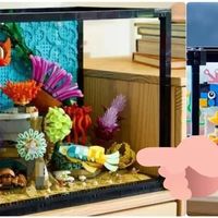 乐高最新10366热带水族馆曝光了！ 这是把小杯做成超大杯了？