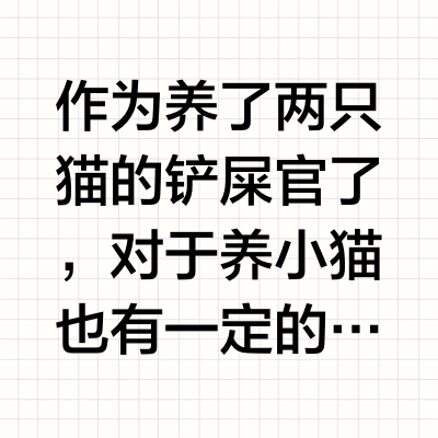 🐱幼猫到家开口粮！就选冠能幼猫粮！