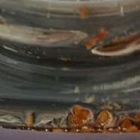 一口酸甜入夏！云山半乌梅子酱，解锁饮品新选择