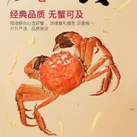 阳澄湖活蟹新鲜上市，母蟹现货热销中！