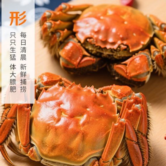 大闸蟹礼盒新鲜上市，4对螃蟹，品味秋日美食！