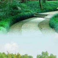 读一篇风吹竹影的古文