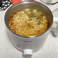 美的多功能电煮锅太懂单身狗了！单身狗一锅搞定，量刚好不剩饭！