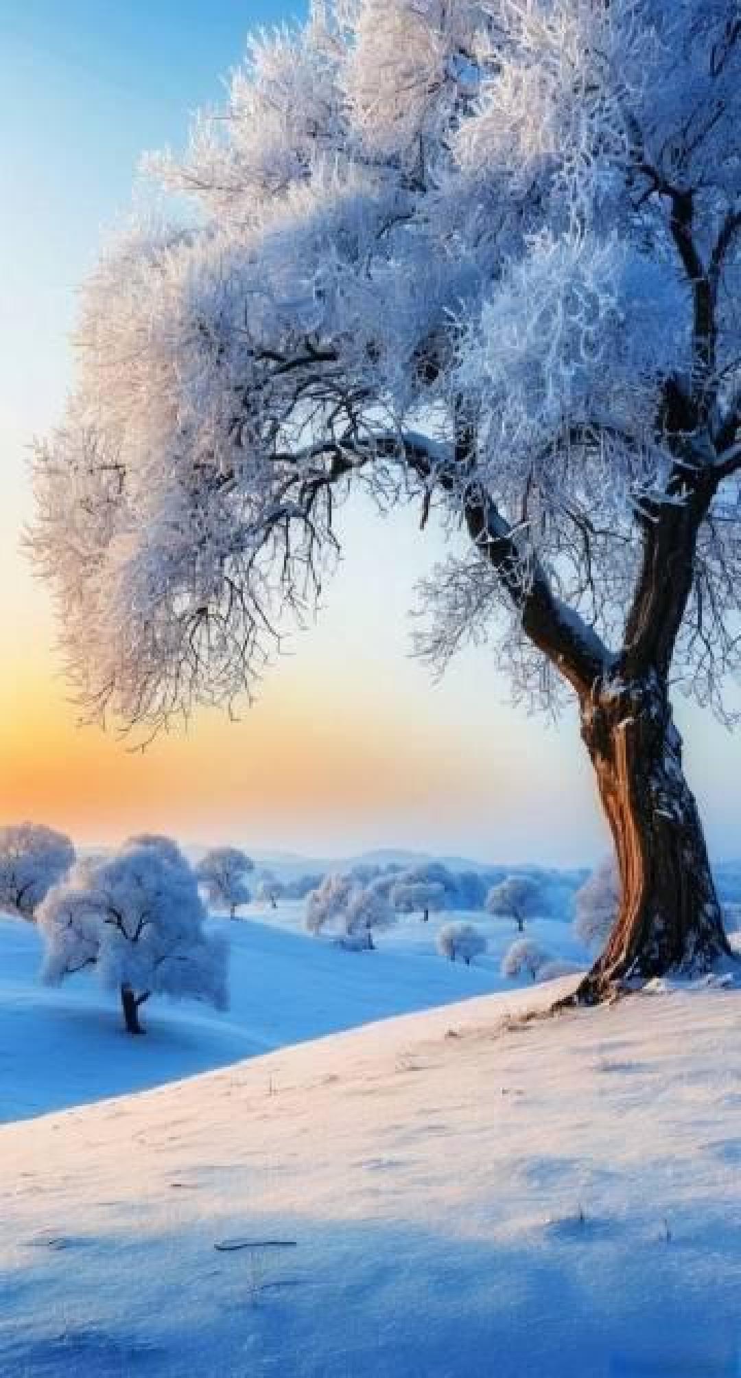 零下30度的黑白秘境里，藏着中国最震撼的冰雪生命诗篇