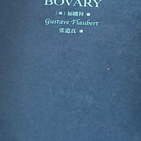 《包法利夫人》：人性欲望的深刻剖析