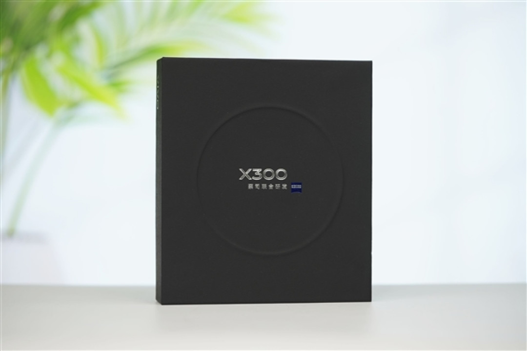 满血2亿灭霸主摄!vivo X300图赏