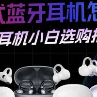 耳夹式耳机哪款性价比高？适合学生党的百元耳夹式耳机测评推荐