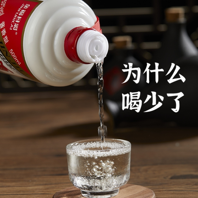 中国白酒 五粮液（Wuliangye）52度 500ml【未開封】 2020年製 五粮液 白酒 500ml 52% 袋付き 未開封 五粮液 WULIANGYE 52