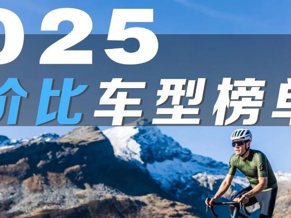 2025年高性价比公路车榜单推荐