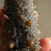 深海珍品的产地密码与实用价值：海参的全面解读