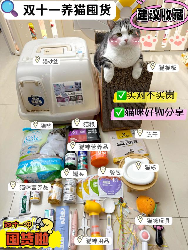月均三百养猫人•双十一平价好物推荐✅
