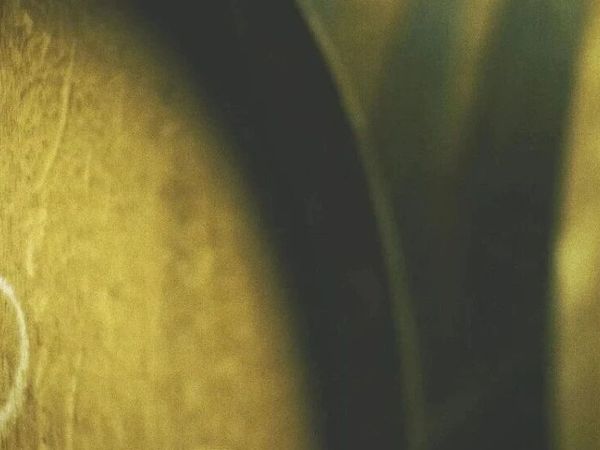 以桶啤之新，敬热爱之深 | 3泉专属礼遇，感恩有你