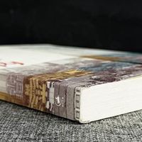 读懂中国经济的钥匙：《置身事内》为何成为现象级佳作