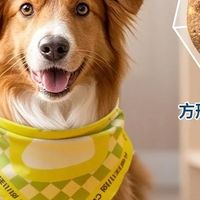 中大型犬粮推荐:彩虹魔方