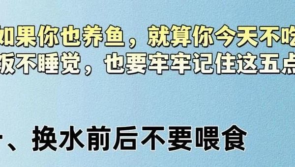 99%鱼友不知道的5个养鱼减压技巧，享受水族乐趣的新方式