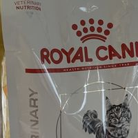 皇家泌尿处方粮：守护猫咪泌尿健康