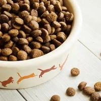 双11宠物食品大促,如何挑选营养均衡的猫狗粮?